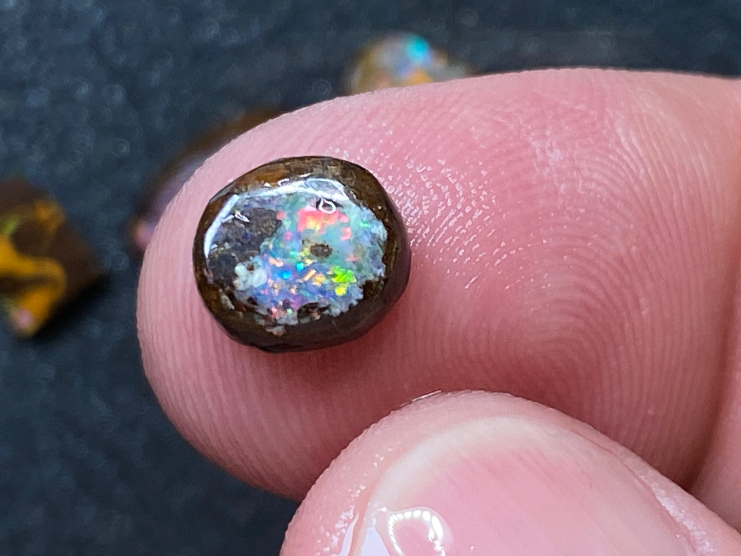 23 CTS 天然澳大利亚蛋白石包裹,博尔德蛋白石 4 次磨擦,色彩绚丽