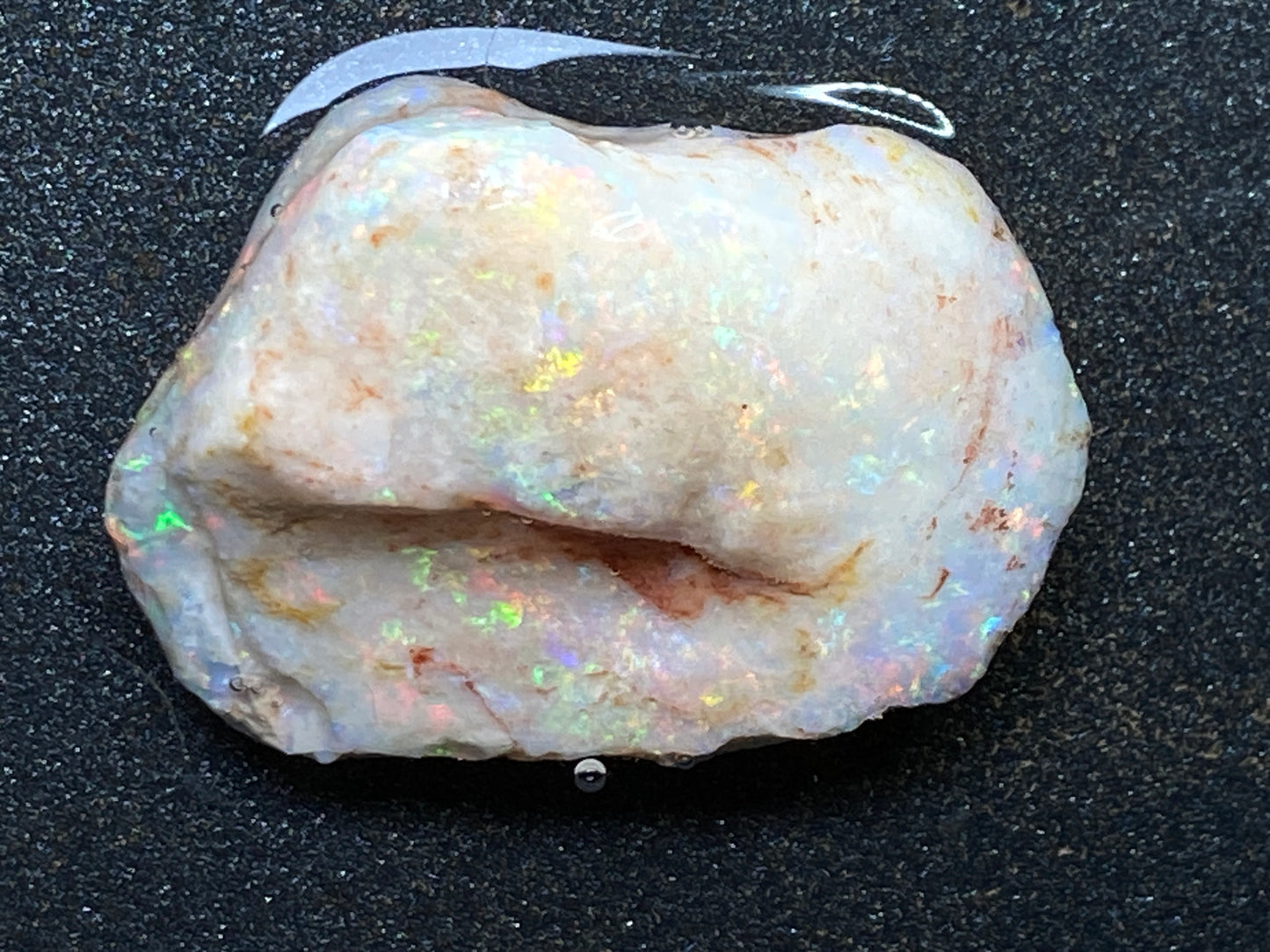 56 Cts Natural Australian Opal AAA Shell, In The Rough, Coober Pedy, Brilliant Crystal Colours