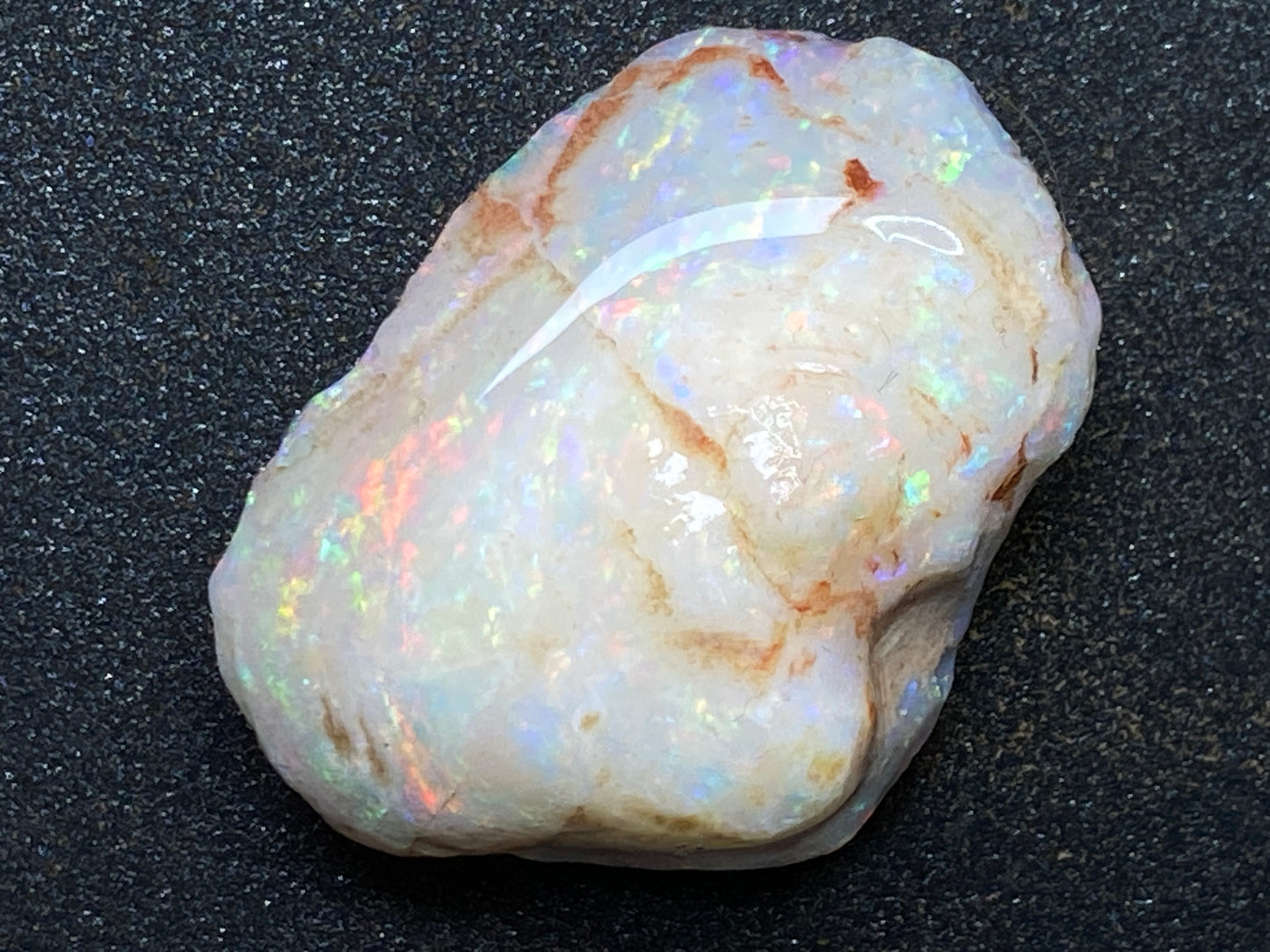 56 Cts Natural Australian Opal AAA Shell, In The Rough, Coober Pedy, Brilliant Crystal Colours