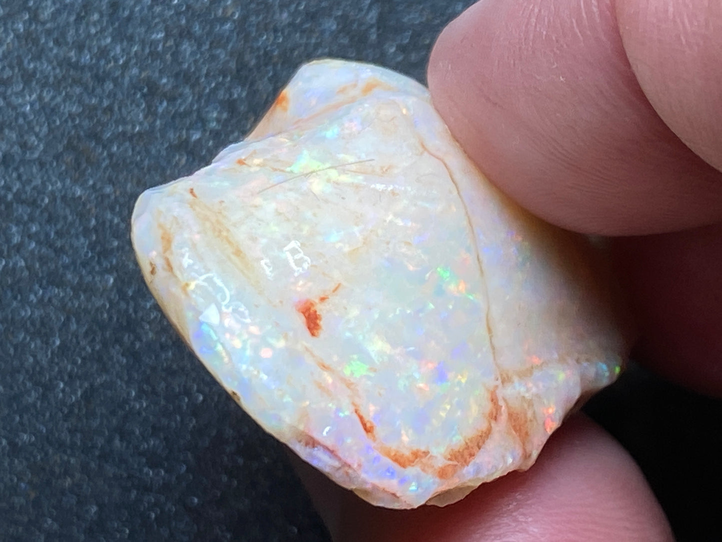 56 Cts Natural Australian Opal AAA Shell, In The Rough, Coober Pedy, Brilliant Crystal Colours