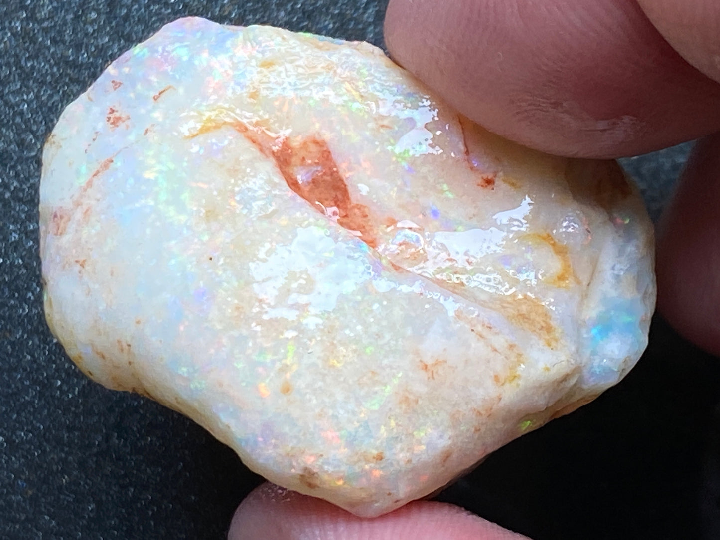56 Cts Natural Australian Opal AAA Shell, In The Rough, Coober Pedy, Brilliant Crystal Colours
