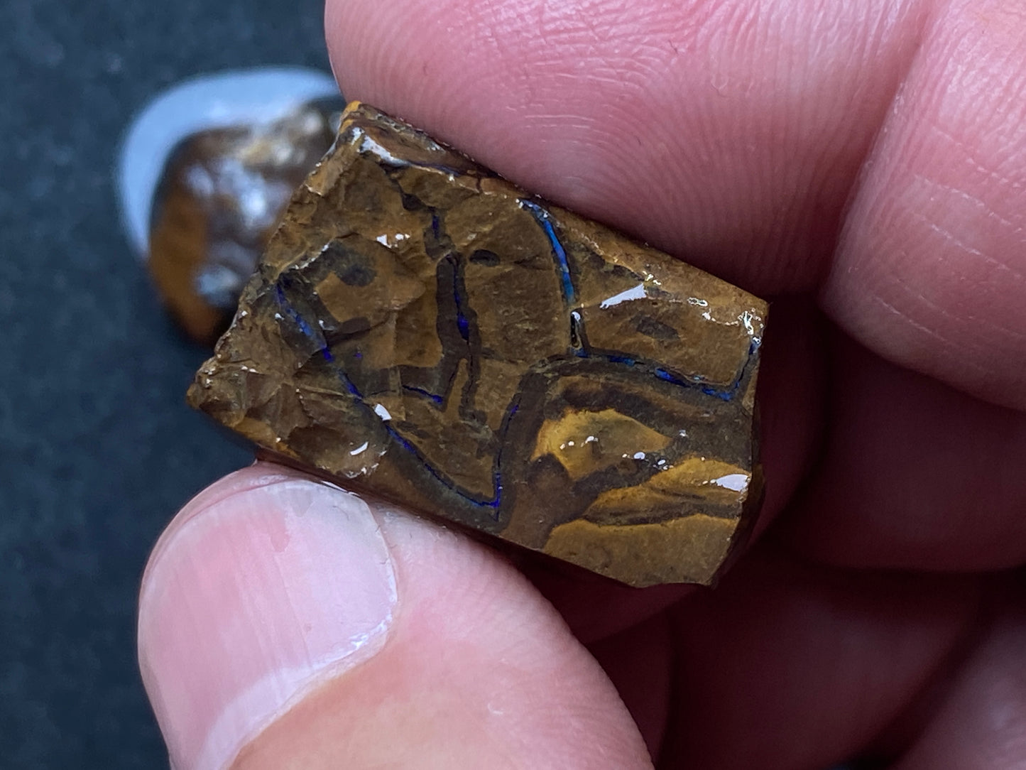 1oz Natural Australian Opal Parcel, 8 Stones, Boulder In The Rough, Great Colours