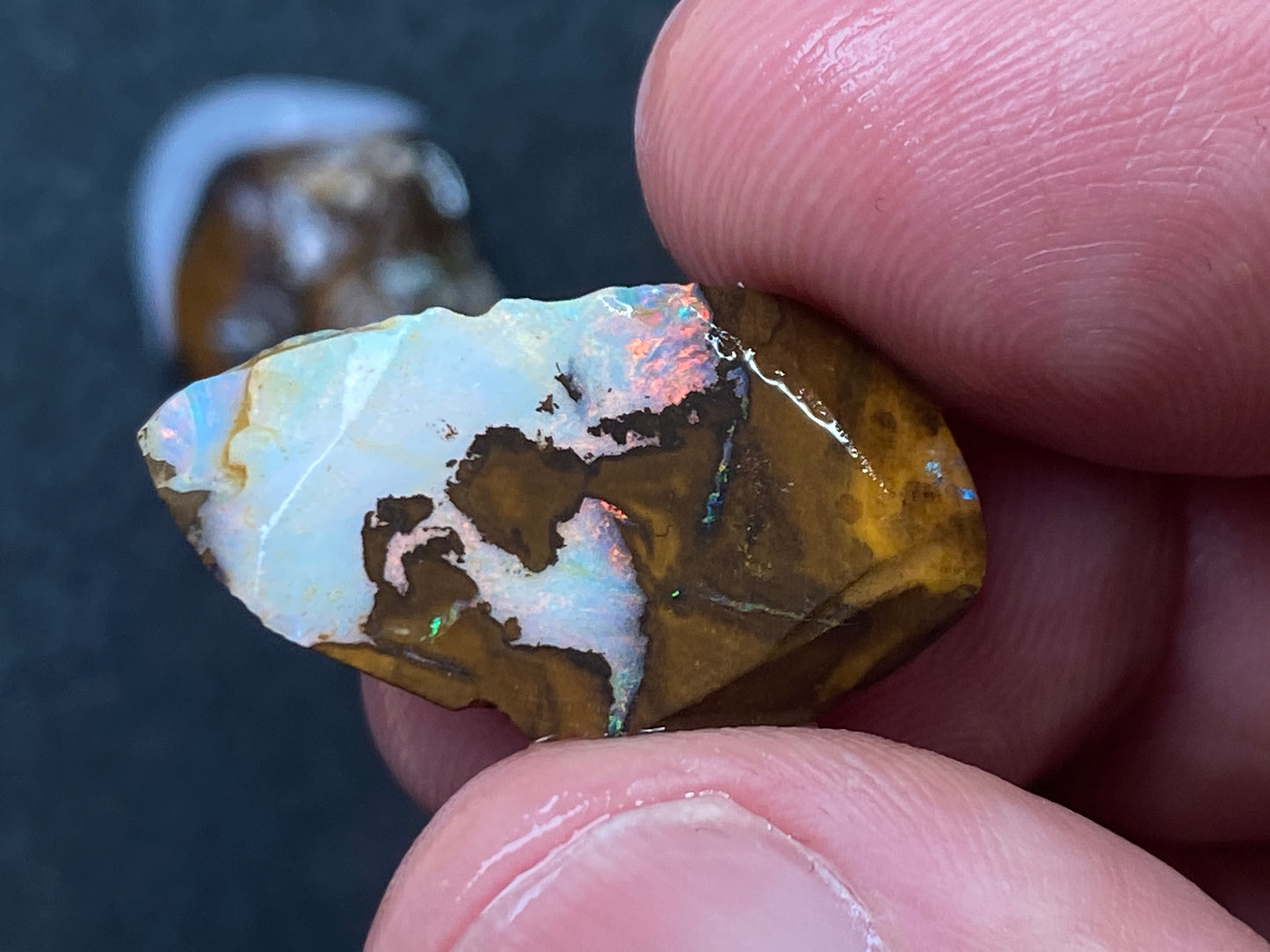 1oz Natural Australian Opal Parcel, 8 Stones, Boulder In The Rough, Great Colours