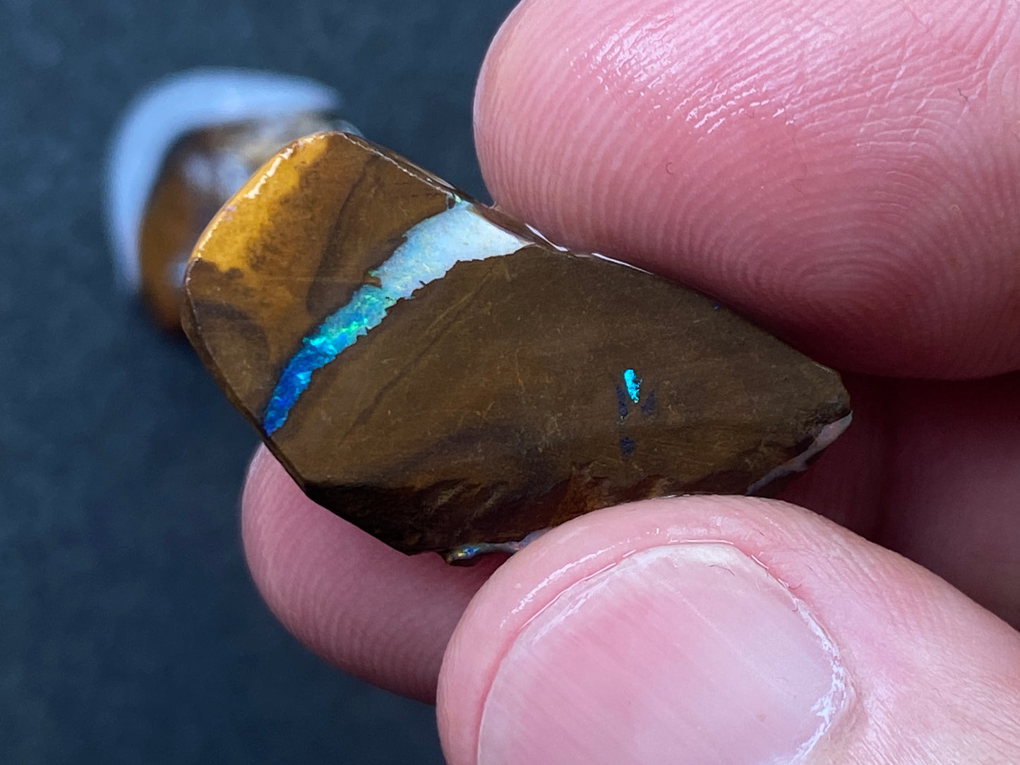 1oz Natural Australian Opal Parcel, 8 Stones, Boulder In The Rough, Great Colours
