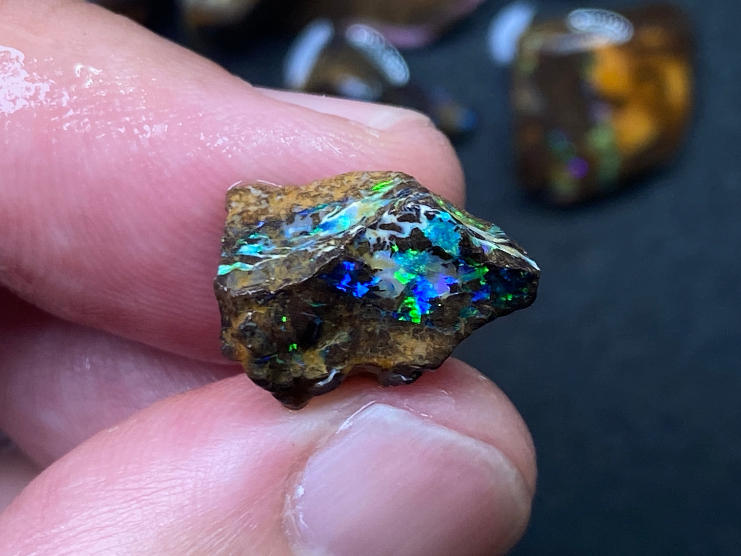 1oz Natural Australian Opal Parcel, 8 Stones, Boulder In The Rough, Great Colours