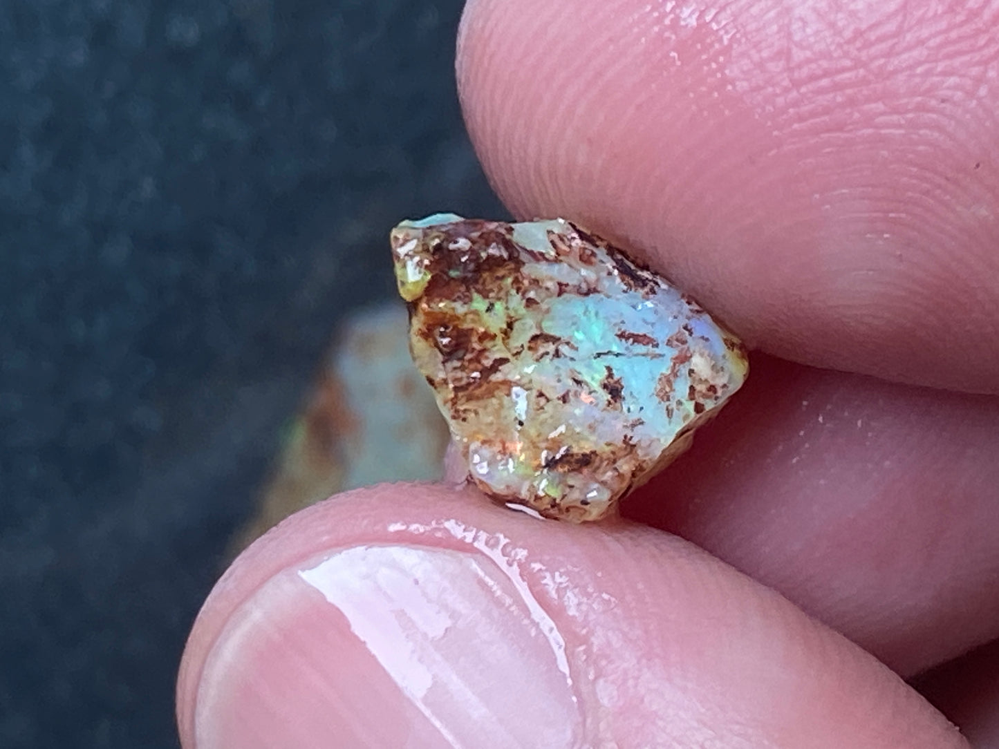 30 Cts Natural Australian Opal Parcel, 7 Small Stones In The Rough, Lambina