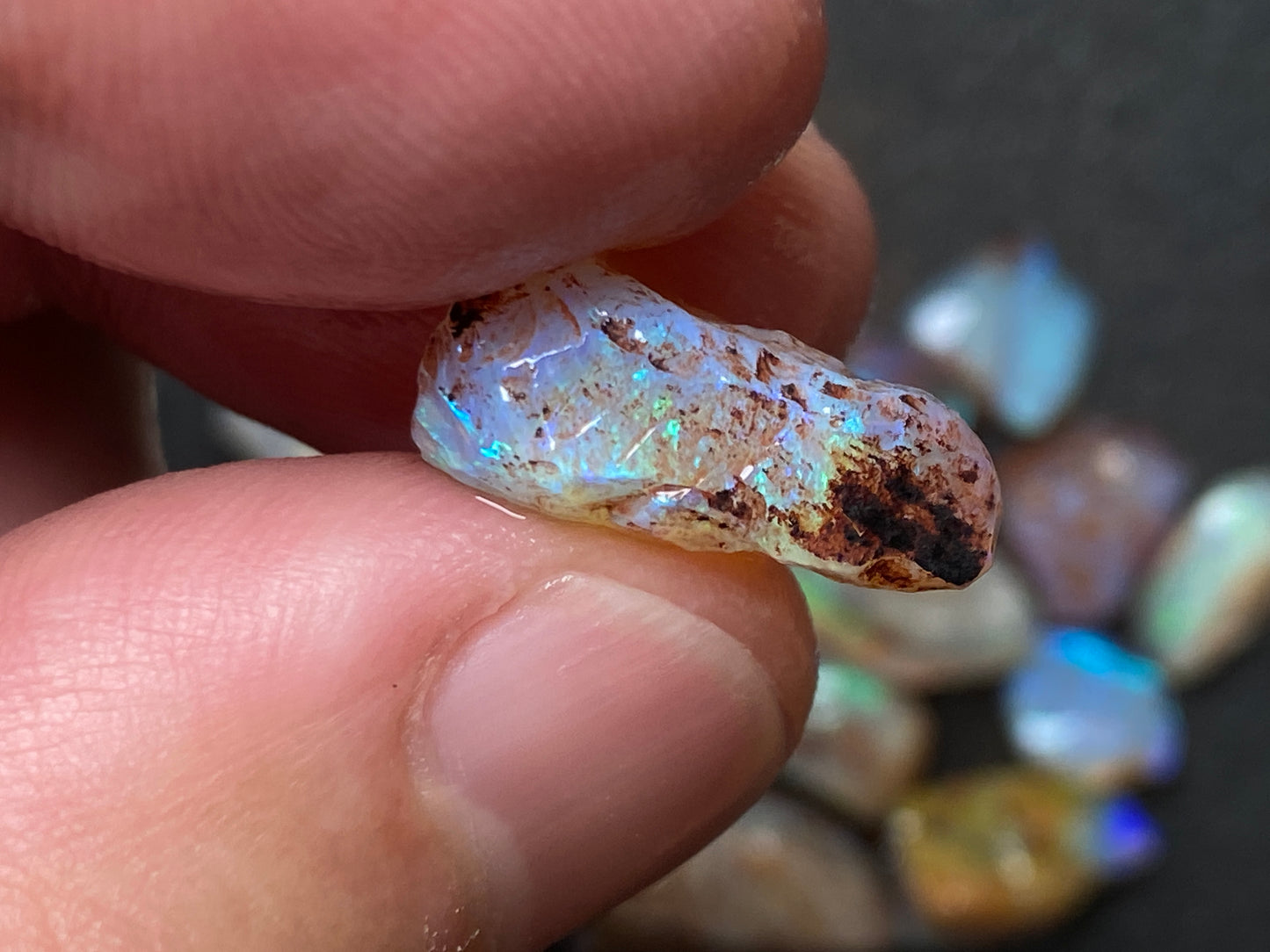 0.5oz Natural Australian Dark Crystal Opal, Small Lambina Stones In The Rough