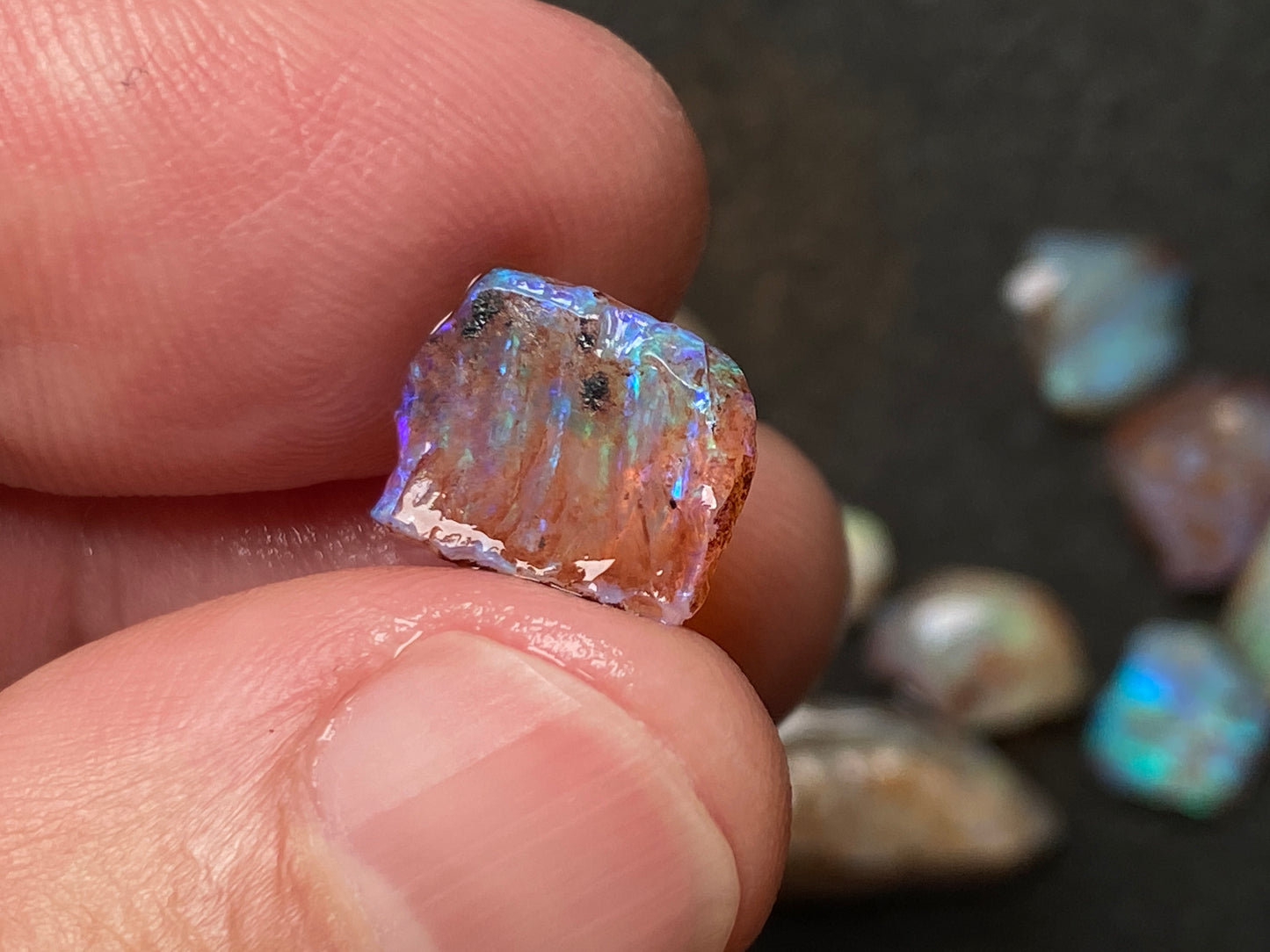 0.5oz Natural Australian Dark Crystal Opal, Small Lambina Stones In The Rough