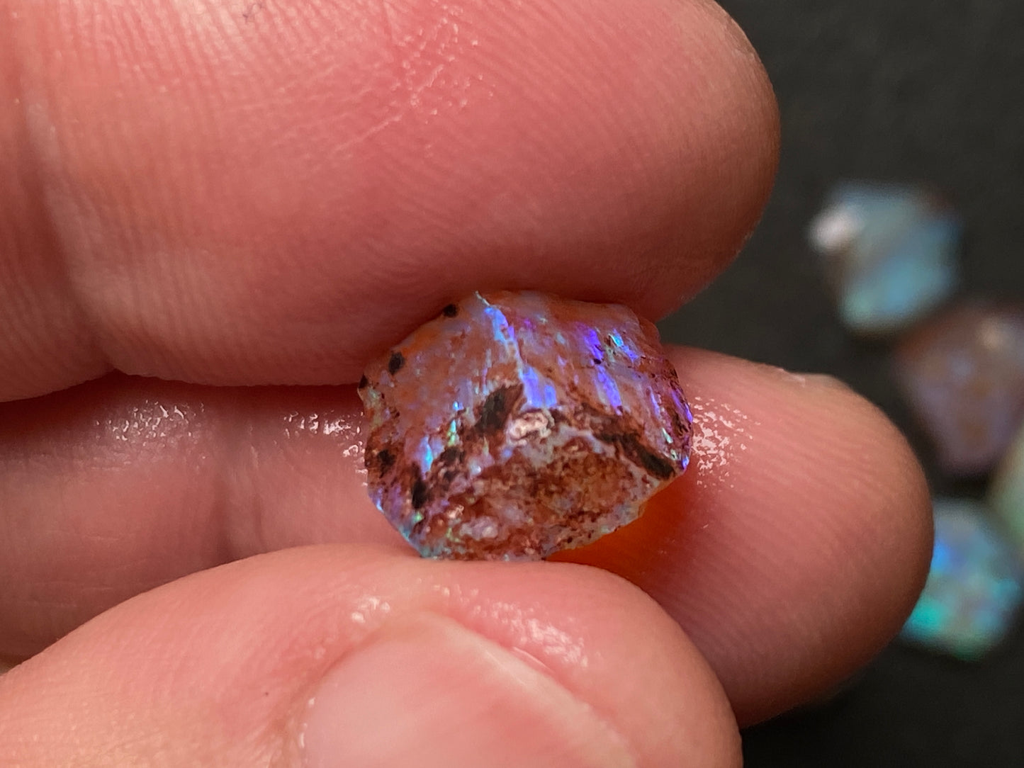 0.5oz Natural Australian Dark Crystal Opal, Small Lambina Stones In The Rough