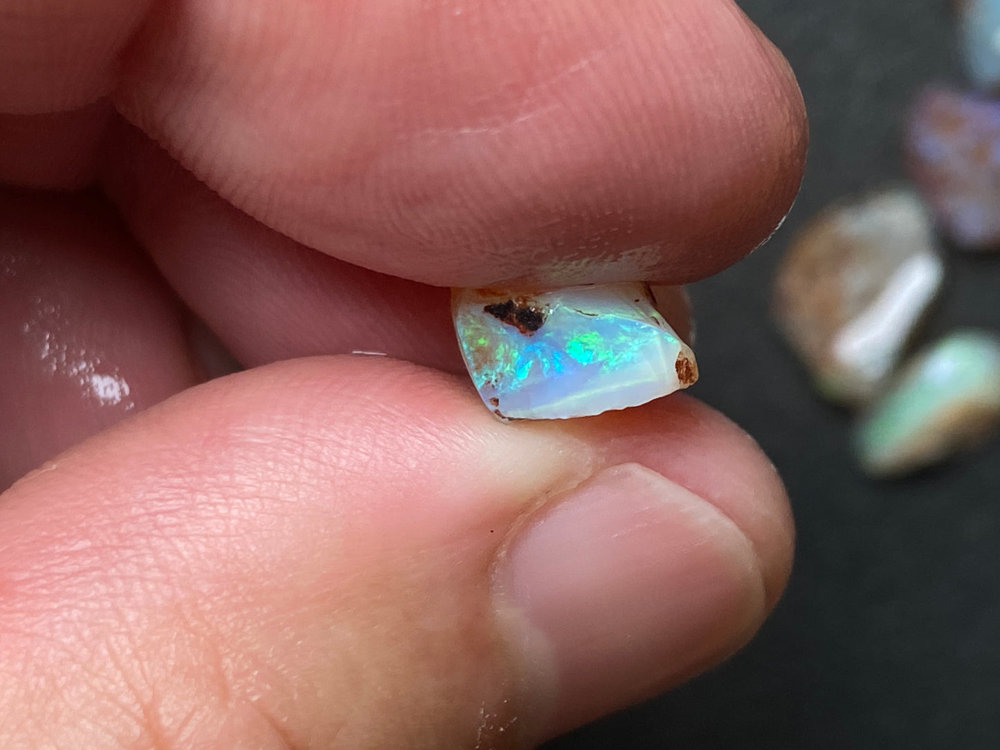 0.5oz Natural Australian Dark Crystal Opal, Small Lambina Stones In The Rough