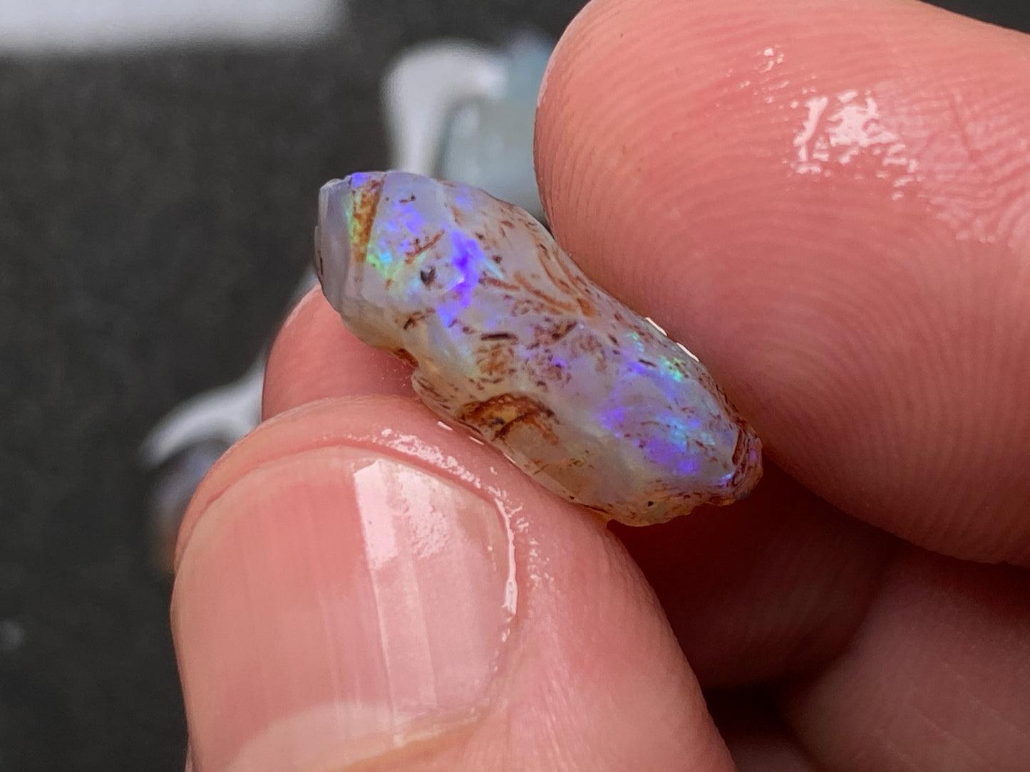 0.5oz Natural Australian Dark Crystal Opal, Small Lambina Stones In The Rough
