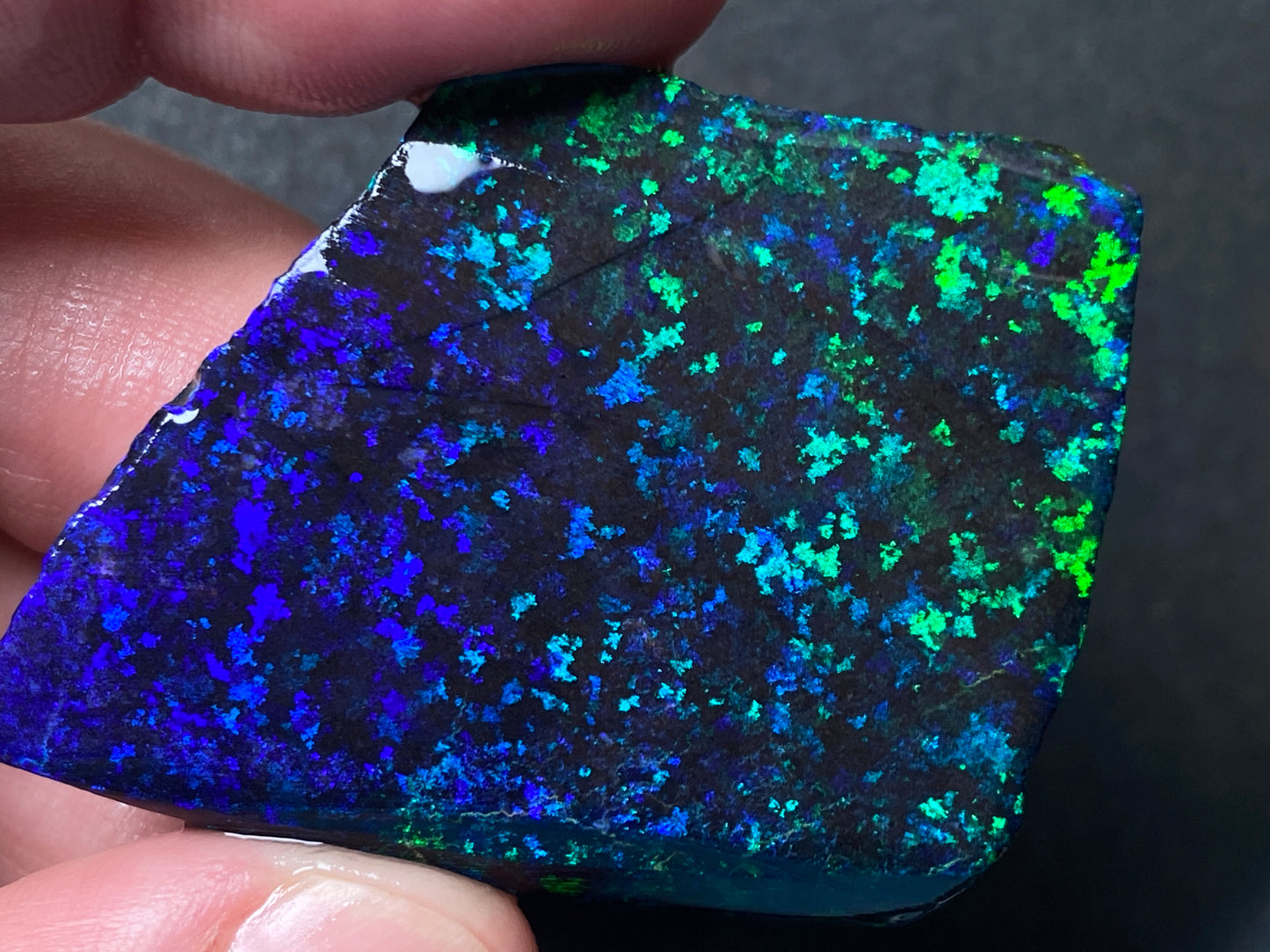 79 Cts Australian Matrix AAA Grade Opal, Andamooka Matrix, Double Sided Full Of B5 Bright Colours