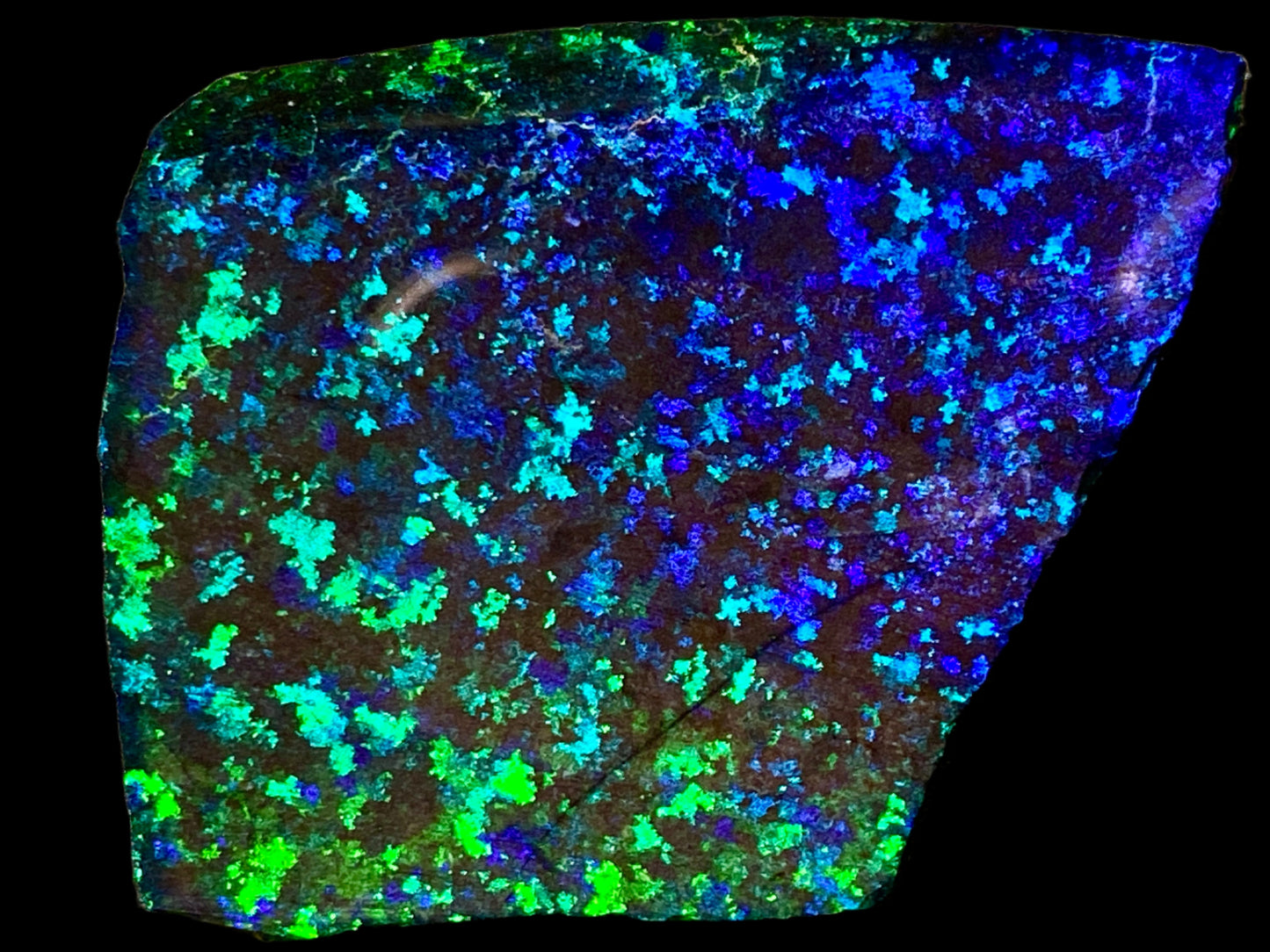 79 Cts Australian Matrix AAA Grade Opal, Andamooka Matrix, Double Sided Full Of B5 Bright Colours