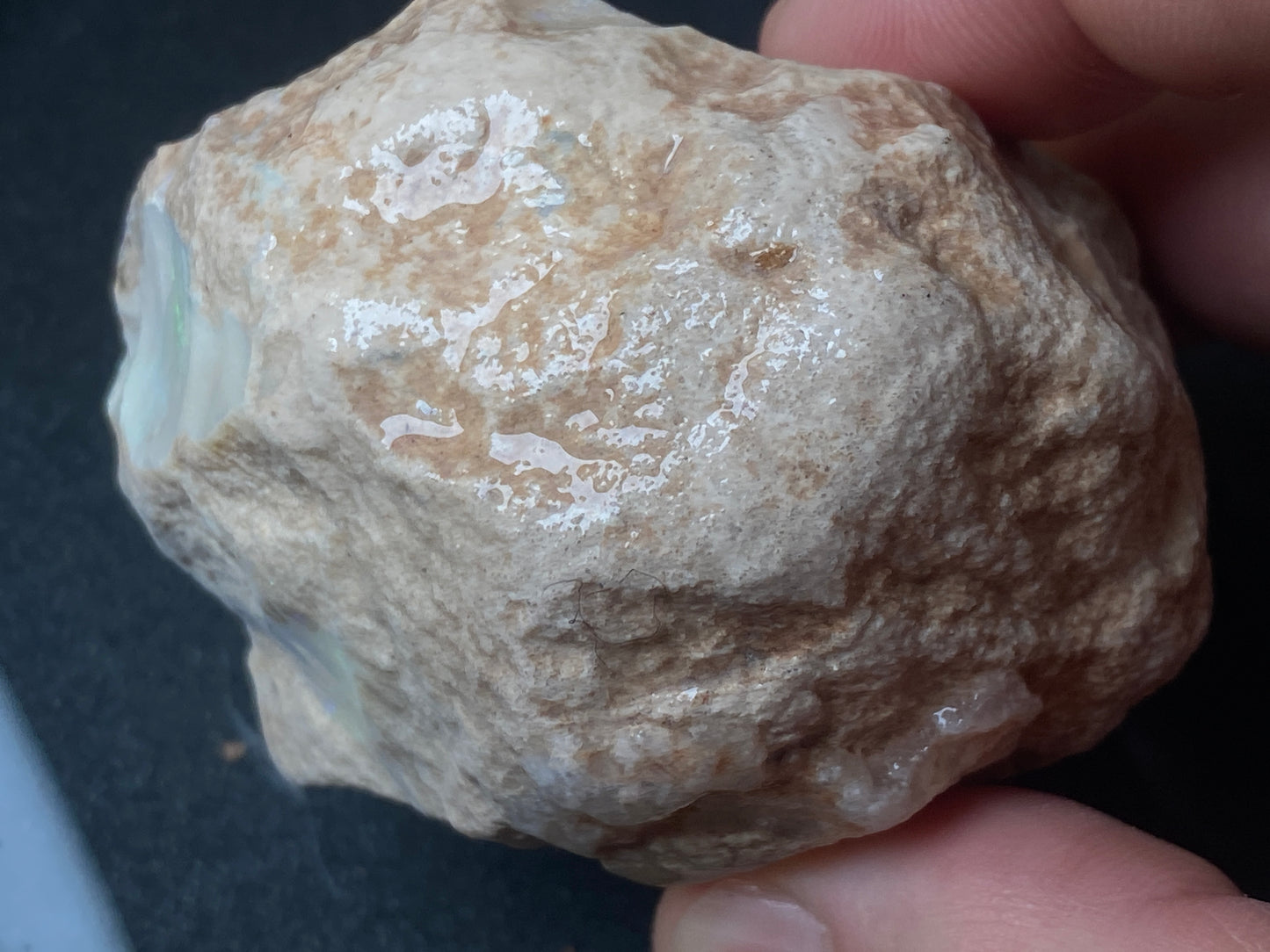 4.75oz Andamooka Matrix Opal, In The Rough, Huge Stone Full Of Colours