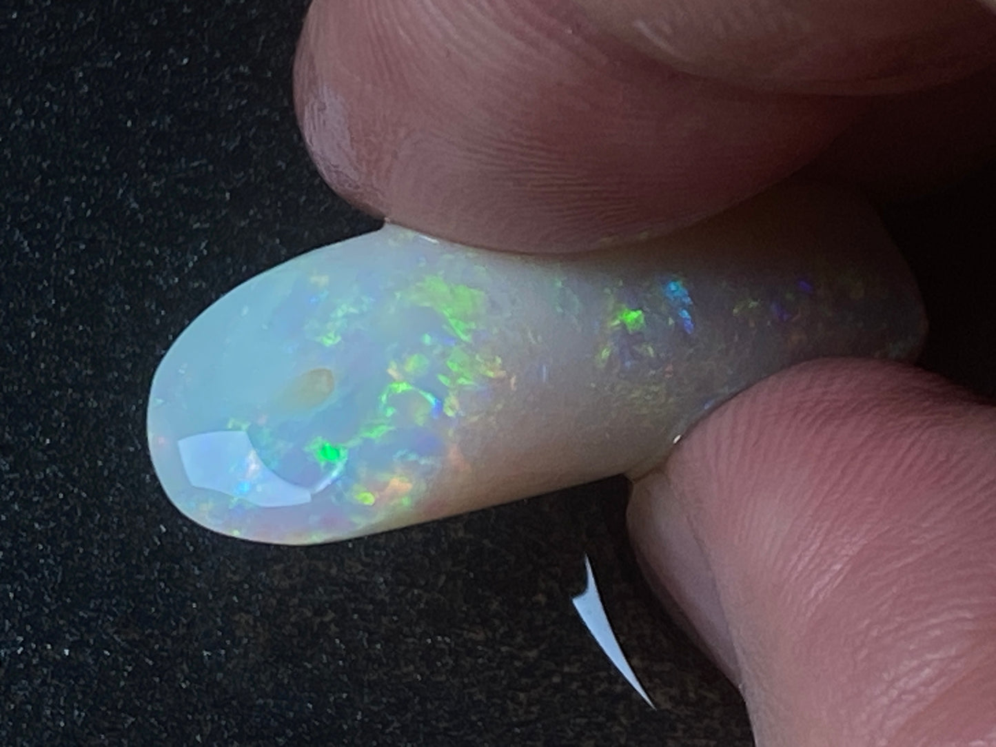 24 Carats, Natural Australian Opal, Belemnite Pipe, Rub / Rough, Amazing Crystal Colours