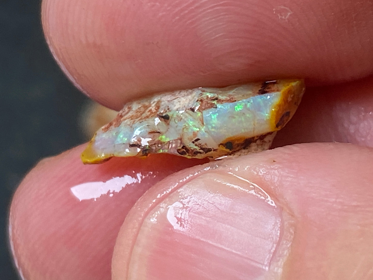 24 Cts Australian Opal Parcel, In The Rough, 8 Small Stones, Rare Lambina,