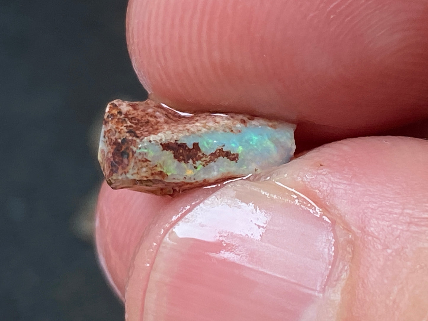 24 Cts Australian Opal Parcel, In The Rough, 8 Small Stones, Rare Lambina,