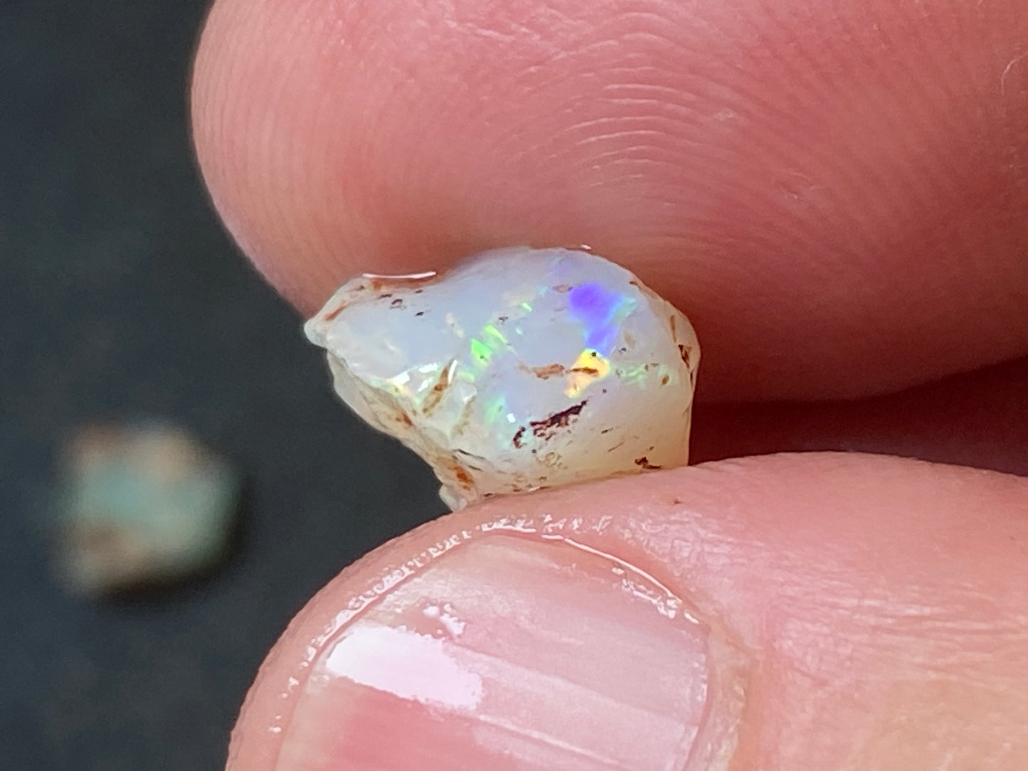24 Cts Australian Opal Parcel, In The Rough, 8 Small Stones, Rare Lambina,