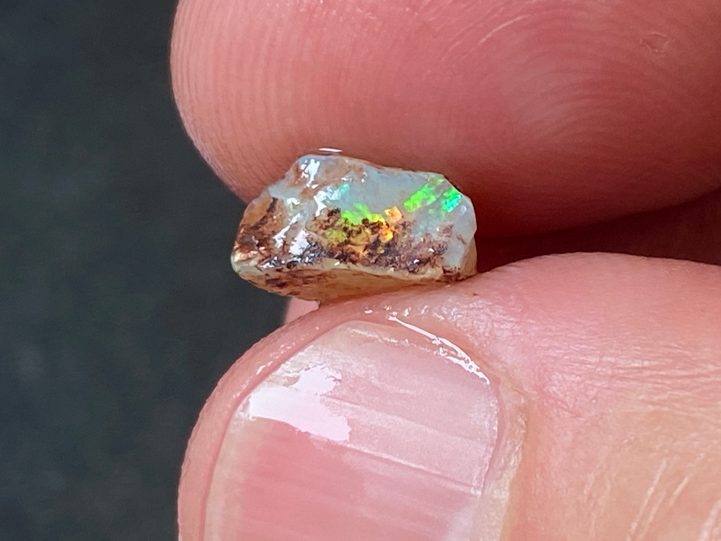 24 Cts Australian Opal Parcel, In The Rough, 8 Small Stones, Rare Lambina,