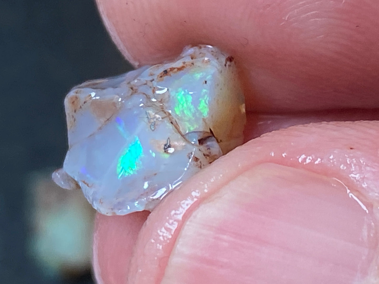 19 Cts Australian Opal Parcel, In The Rough, 6 Small Stones, Rare Lambina