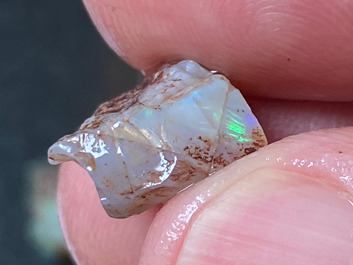 19 Cts Australian Opal Parcel, In The Rough, 6 Small Stones, Rare Lambina