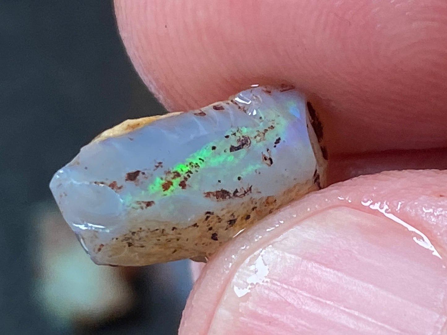 19 Cts Australian Opal Parcel, In The Rough, 6 Small Stones, Rare Lambina