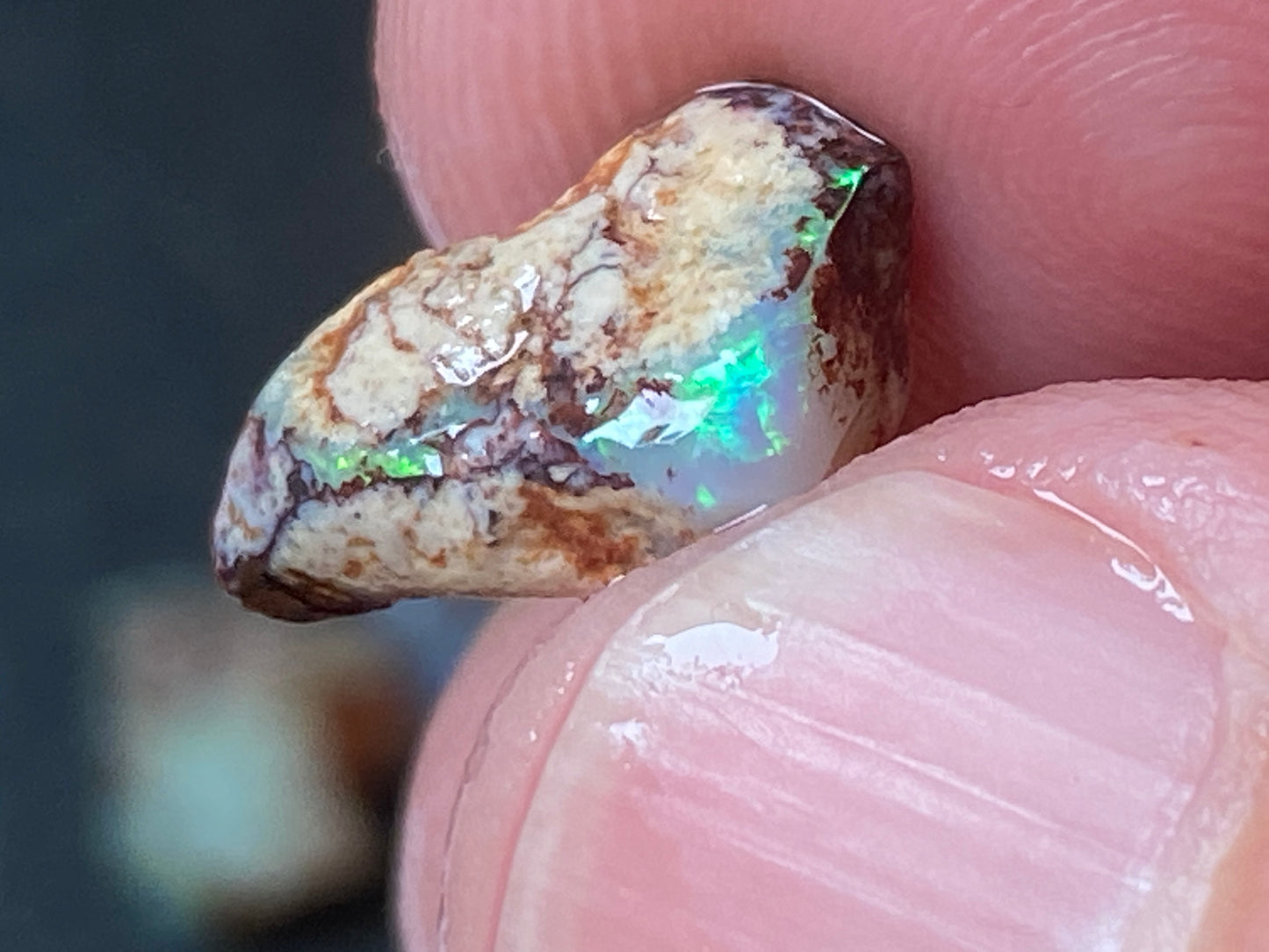 19 Cts Australian Opal Parcel, In The Rough, 6 Small Stones, Rare Lambina