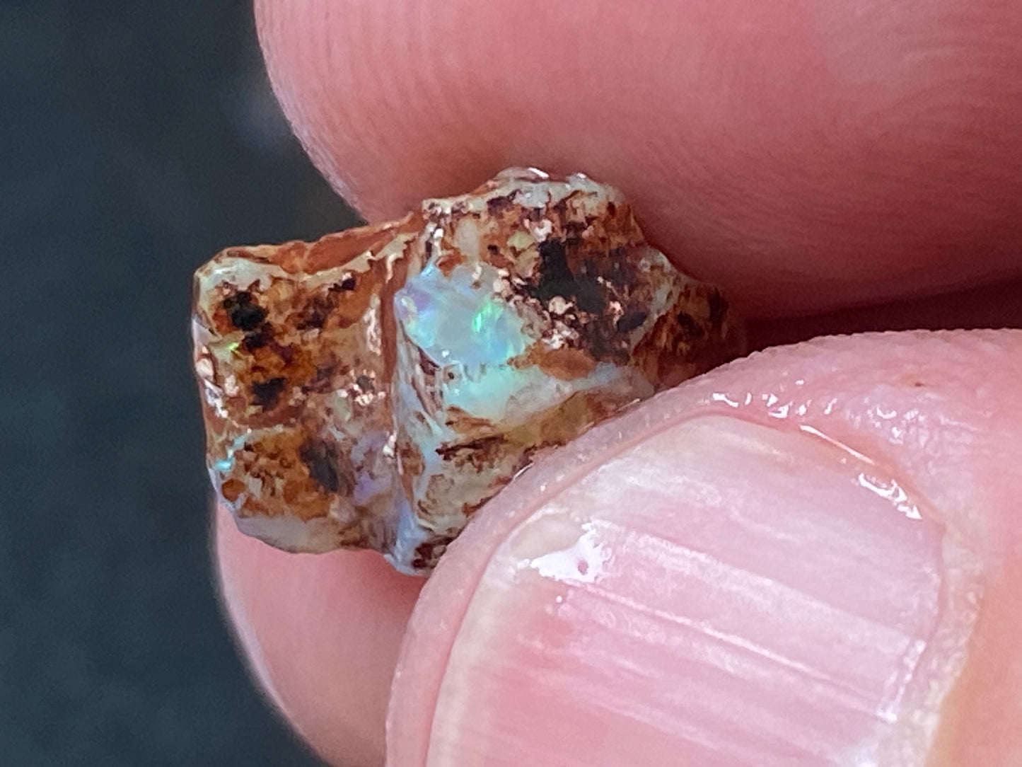19 Cts Australian Opal Parcel, In The Rough, 6 Small Stones, Rare Lambina