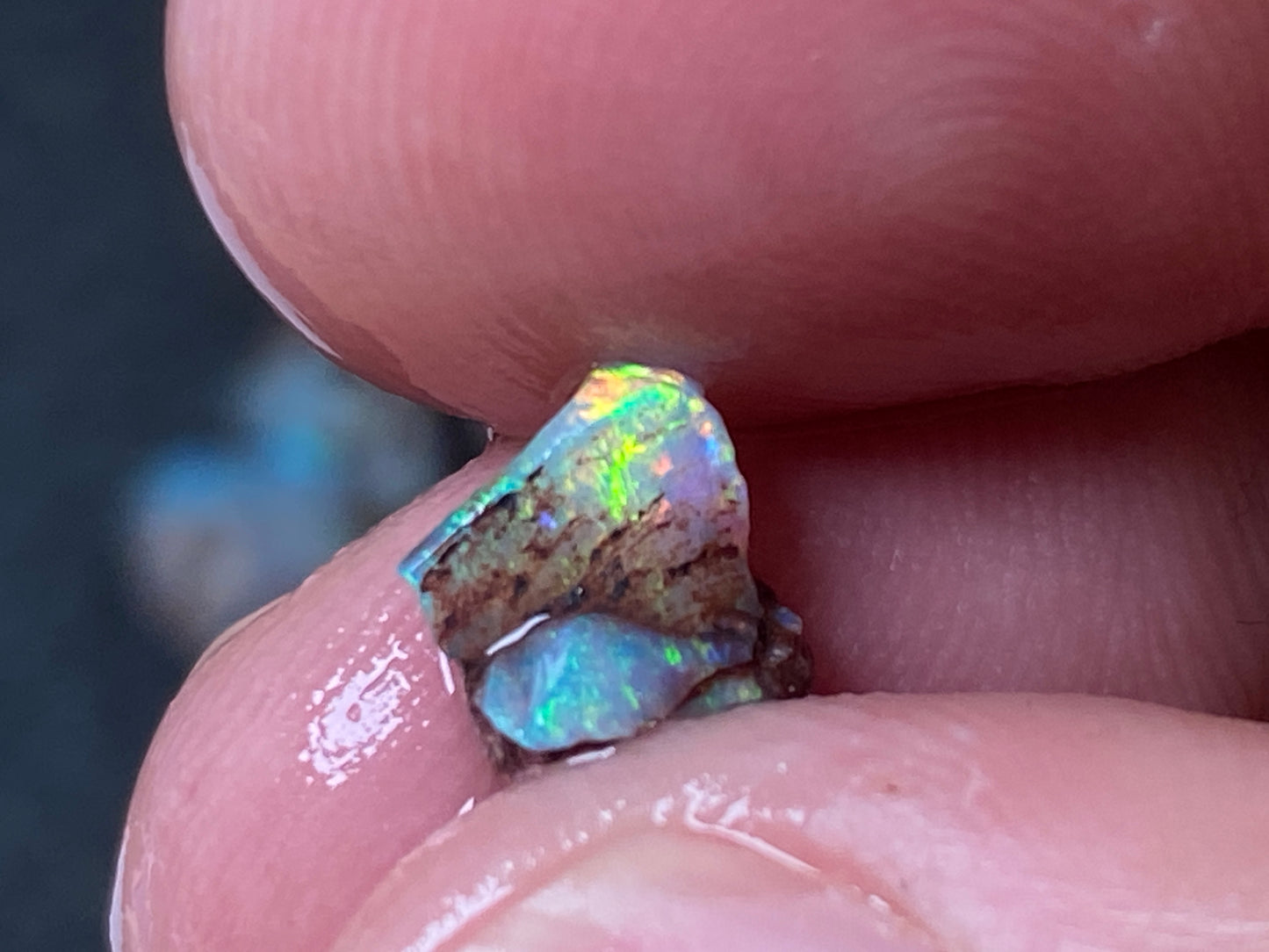 25 Cts Australian Opal Parcel, In The Rough, 9 Small Stones, Rare Lambina