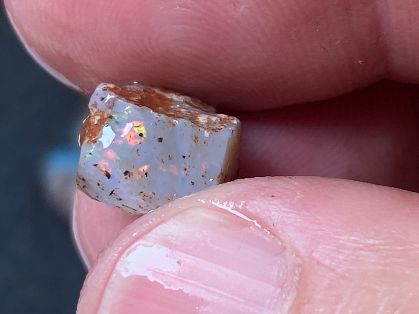 25 Cts Australian Opal Parcel, In The Rough, 9 Small Stones, Rare Lambina