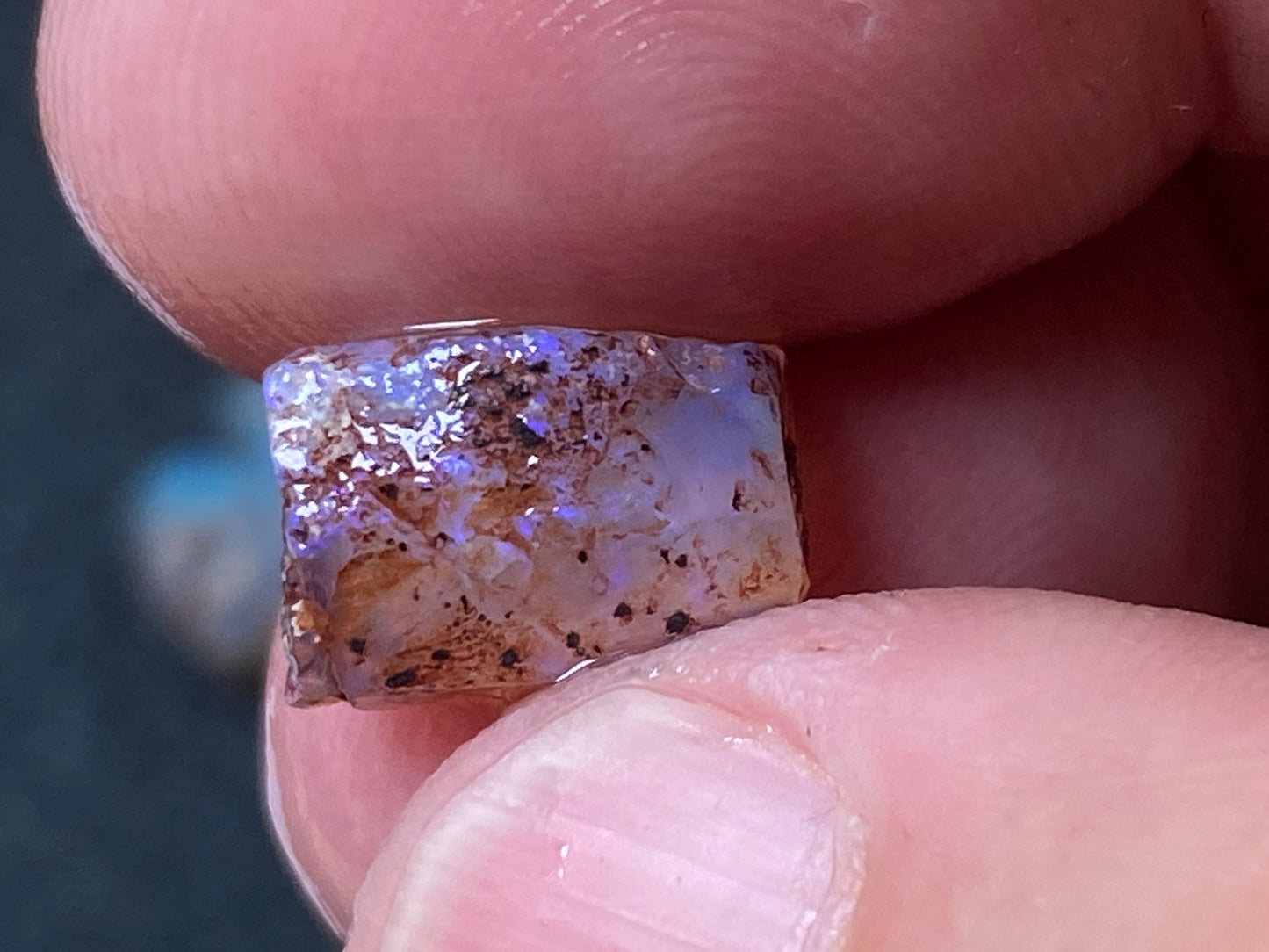 25 Cts Australian Opal Parcel, In The Rough, 9 Small Stones, Rare Lambina