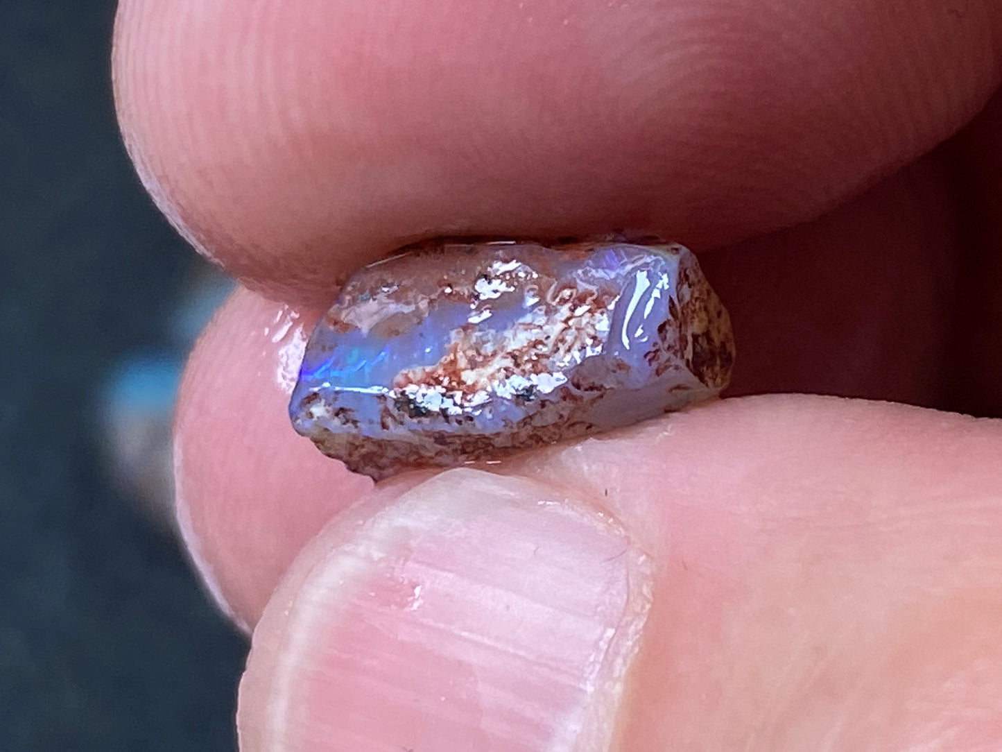 25 Cts Australian Opal Parcel, In The Rough, 9 Small Stones, Rare Lambina