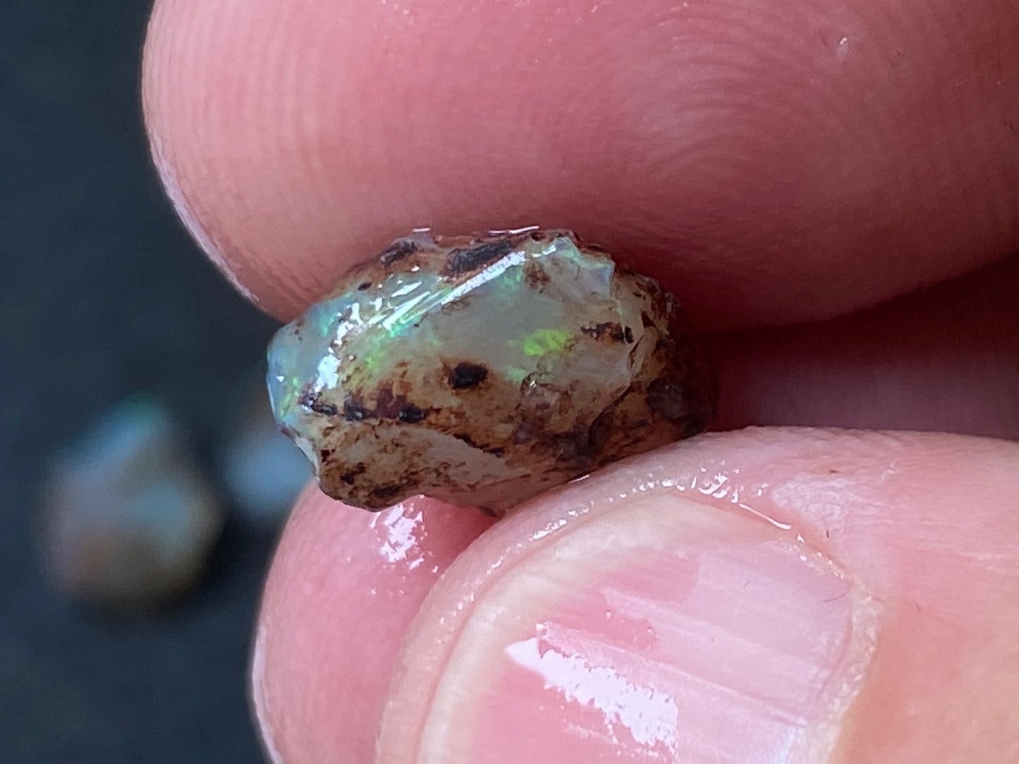 25 Cts Australian Opal Parcel, In The Rough, 9 Small Stones, Rare Lambina