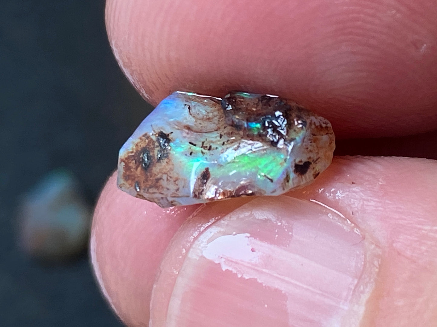 25 Cts Australian Opal Parcel, In The Rough, 9 Small Stones, Rare Lambina