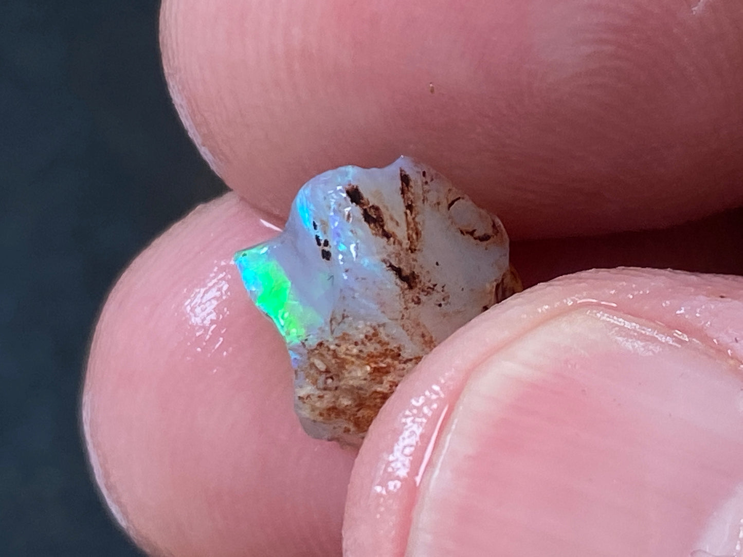 25 Cts Australian Opal Parcel, In The Rough, 9 Small Stones, Rare Lambina