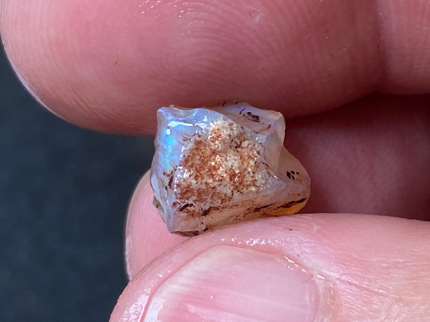 25 Cts Australian Opal Parcel, In The Rough, 9 Small Stones, Rare Lambina