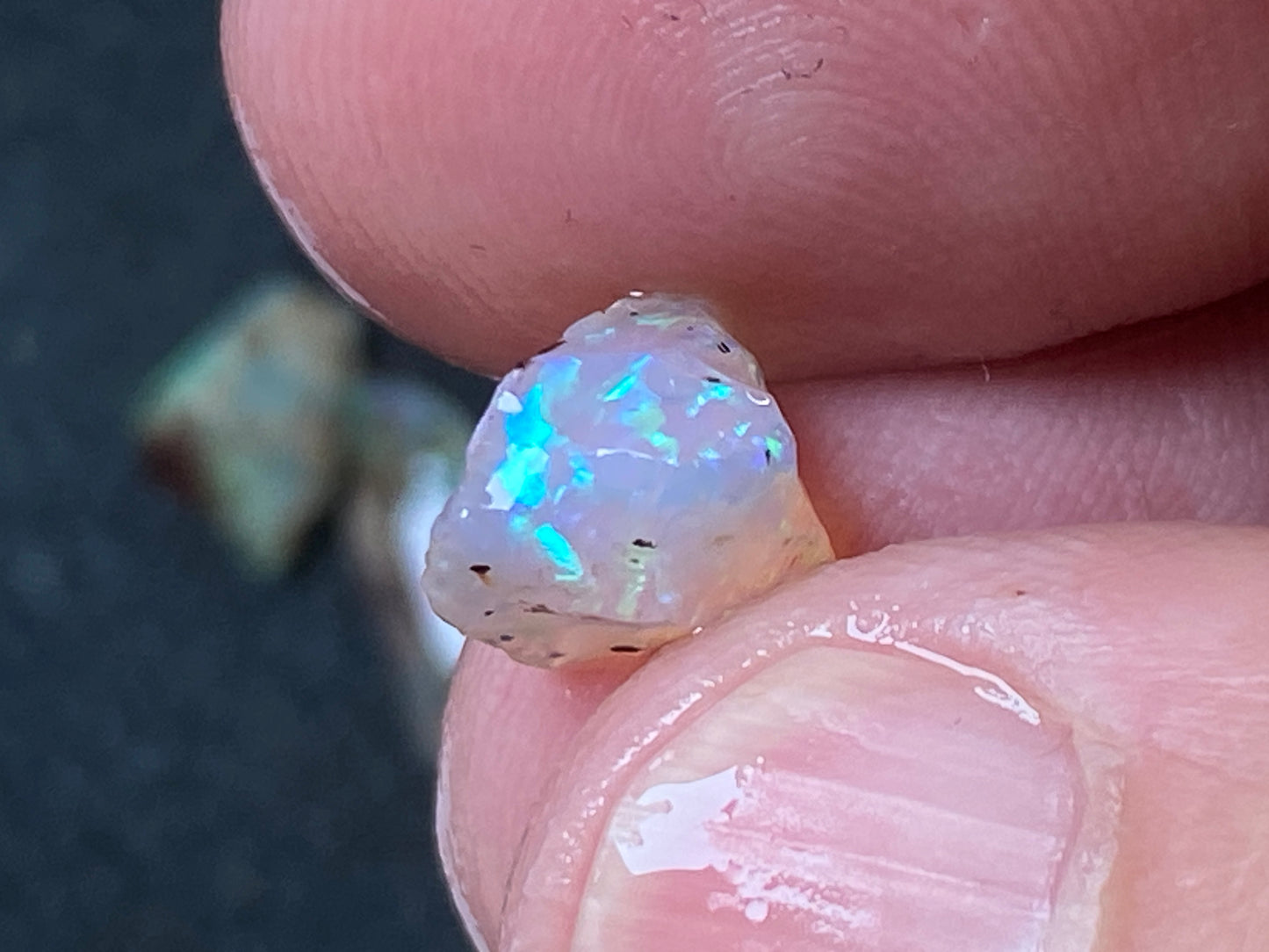 27 Cts Australian Opal Parcel, In The Rough, 8 Small Stones, Rare Lambina
