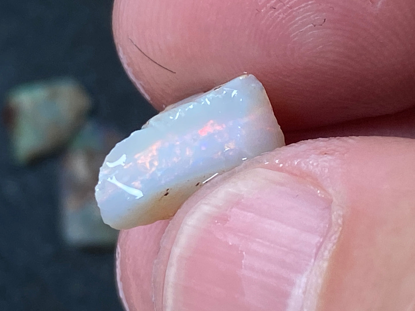 27 Cts Australian Opal Parcel, In The Rough, 8 Small Stones, Rare Lambina