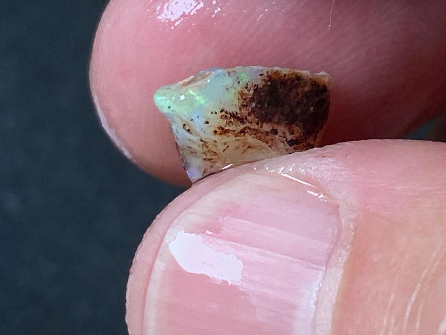 27 Cts Australian Opal Parcel, In The Rough, 8 Small Stones, Rare Lambina