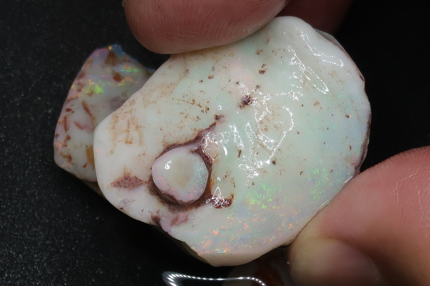 0.8oz Natural Australian Opal Parcel, In The Rough, Shell Patch, Bright Rainbow.