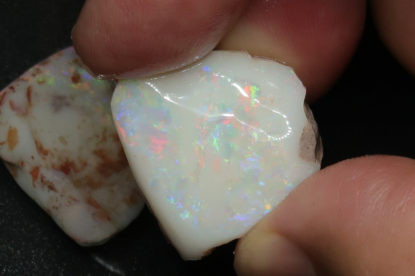 0.8oz Natural Australian Opal Parcel, In The Rough, Shell Patch, Bright Rainbow.