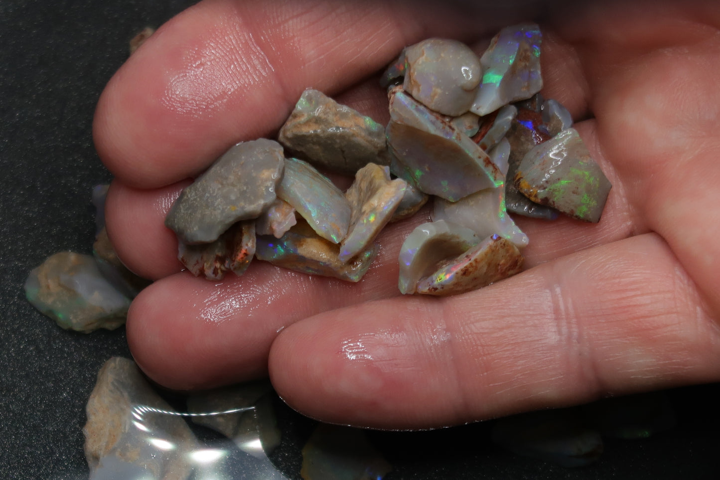 1oz Natural Australian Opal Parcel, Shell Pieces In The Rough, Dark Base