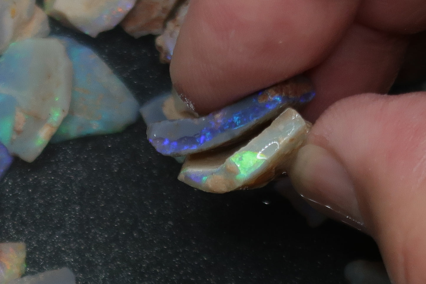 1oz Natural Australian Opal Parcel, Shell Pieces In The Rough, Dark Base