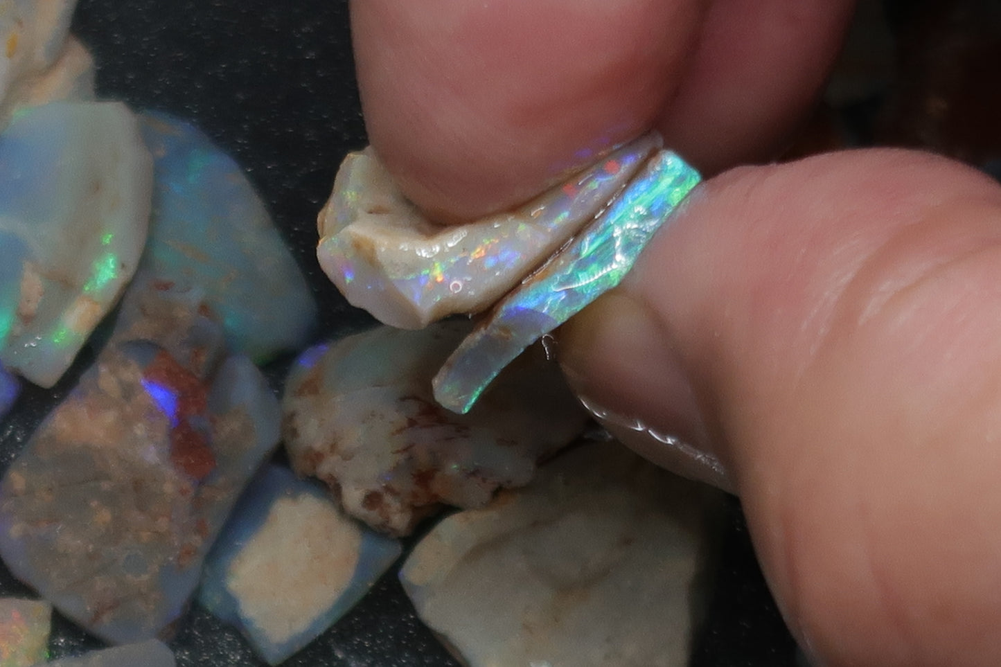 1oz Natural Australian Opal Parcel, Shell Pieces In The Rough, Dark Base