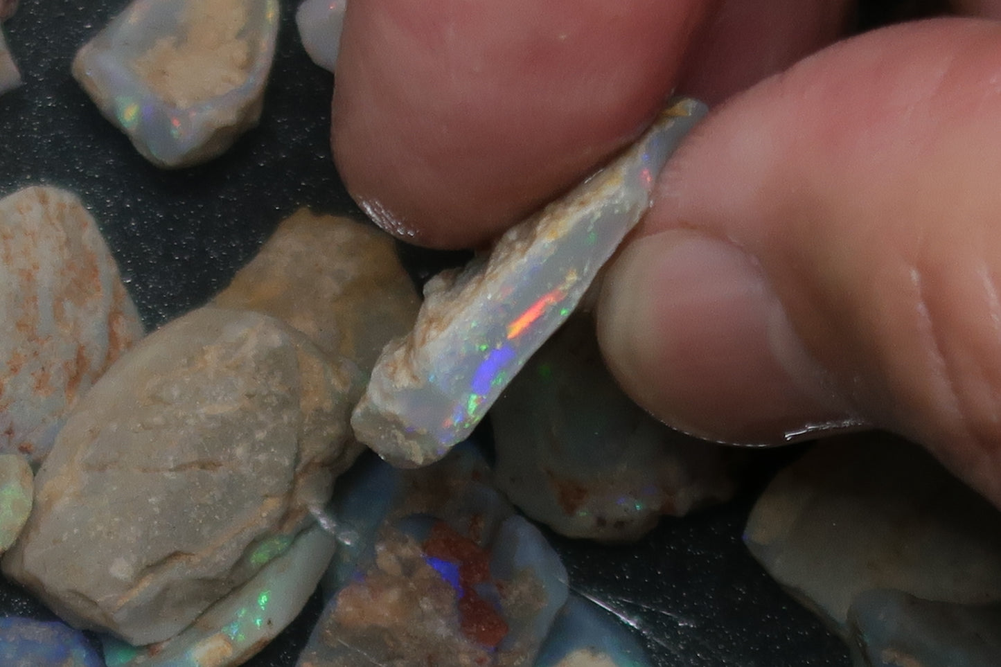 1oz Natural Australian Opal Parcel, Shell Pieces In The Rough, Dark Base
