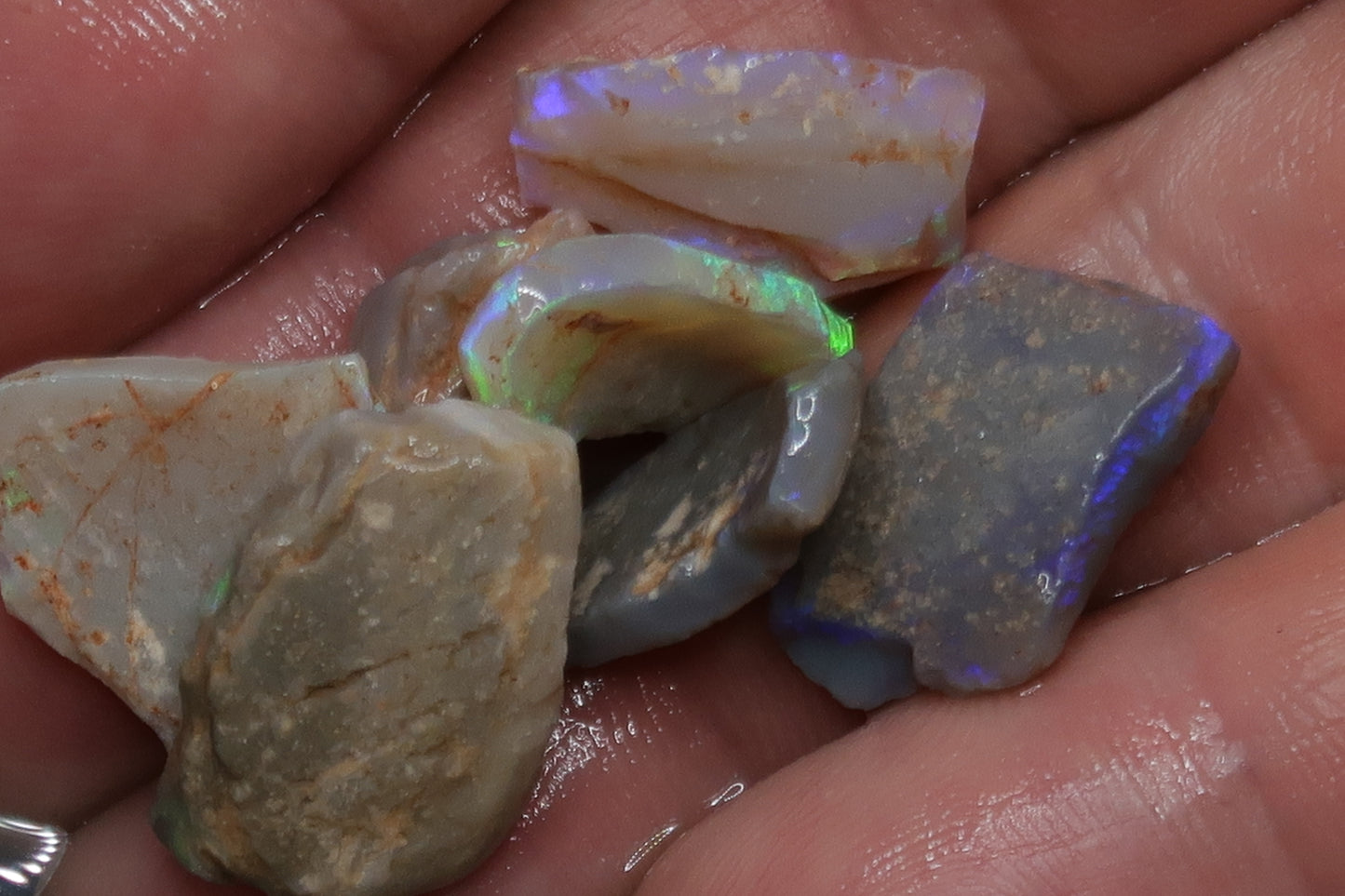 1oz Natural Australian Opal Parcel, Shell Pieces In The Rough, Dark Base