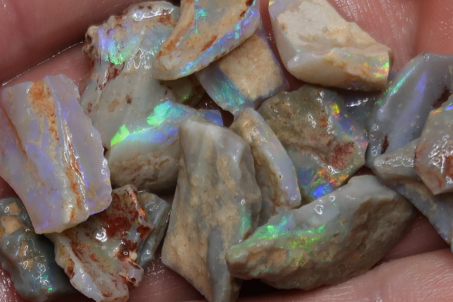 1oz Natural Australian Opal Parcel, Shell Pieces In The Rough, Dark Base