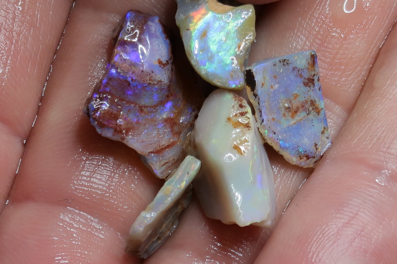1.2oz, Natural Australian Opal Parcel, Dark Shells In The Rough, Vivid Bright Rainbow Of Colors.