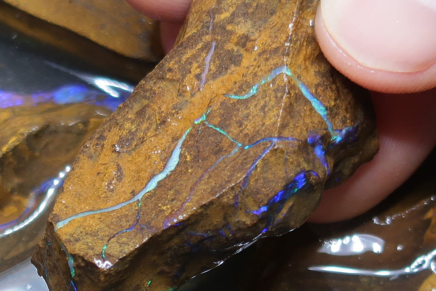 6.5oz Natural Australian Boulder Opal Parcel, 7 Stones In The Rough, Purple And Greens.