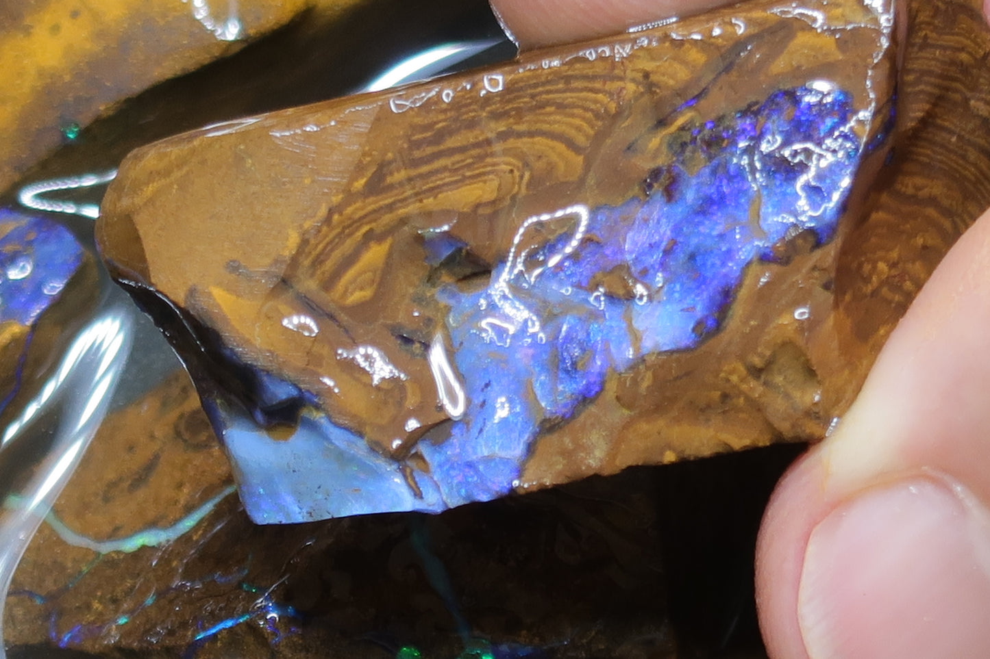 6.5oz Natural Australian Boulder Opal Parcel, 7 Stones In The Rough, Purple And Greens.